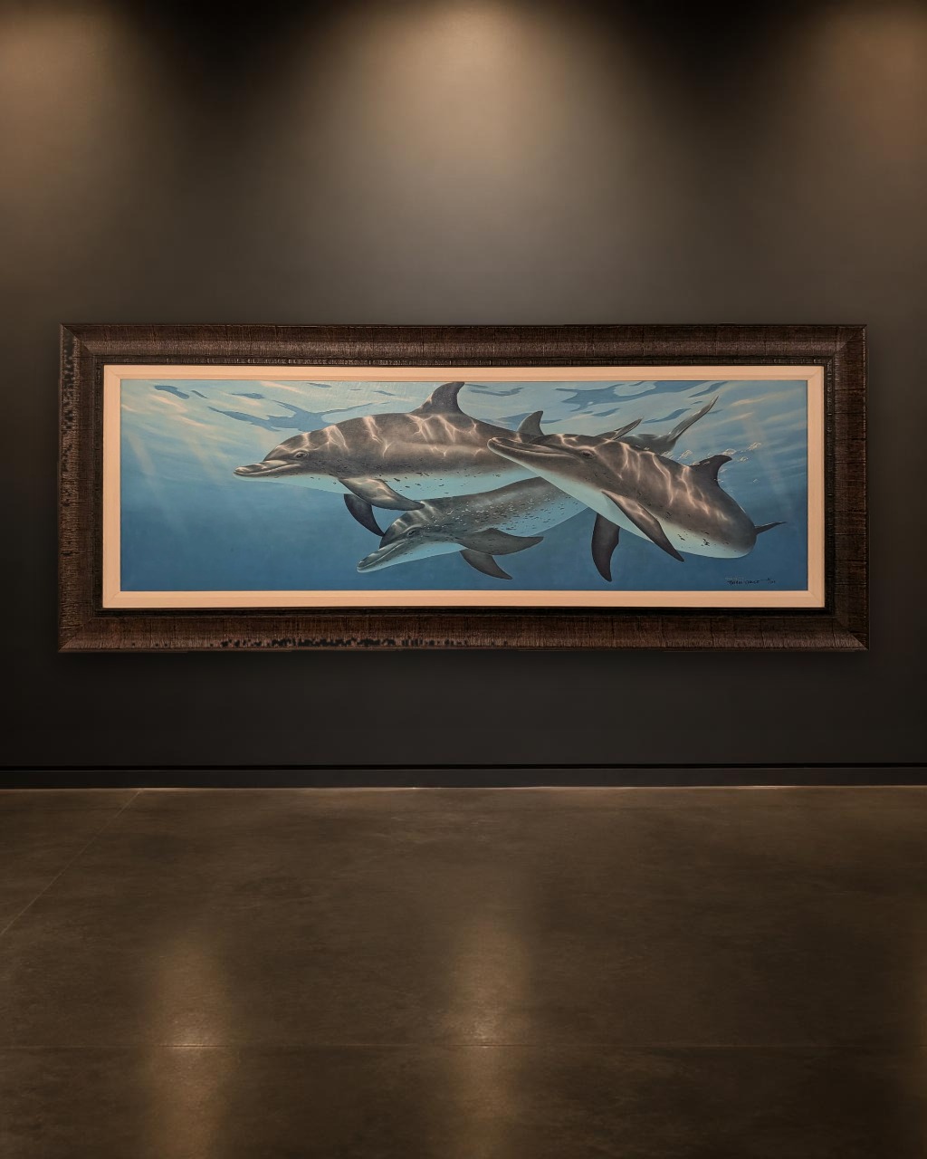 Atlantic Spotted Dolphins by Thomas Krause
