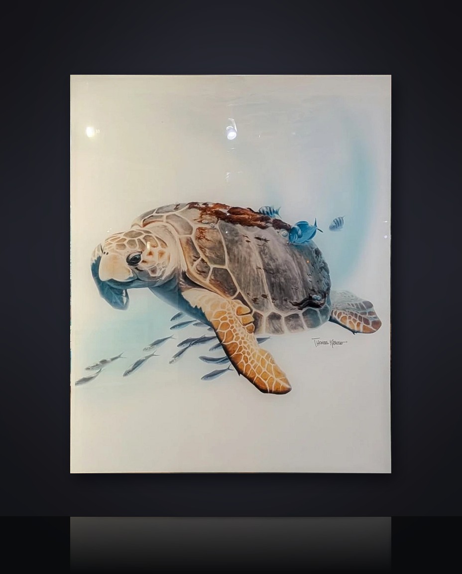Loggerhead Sea Turtle by Thomas Krause
